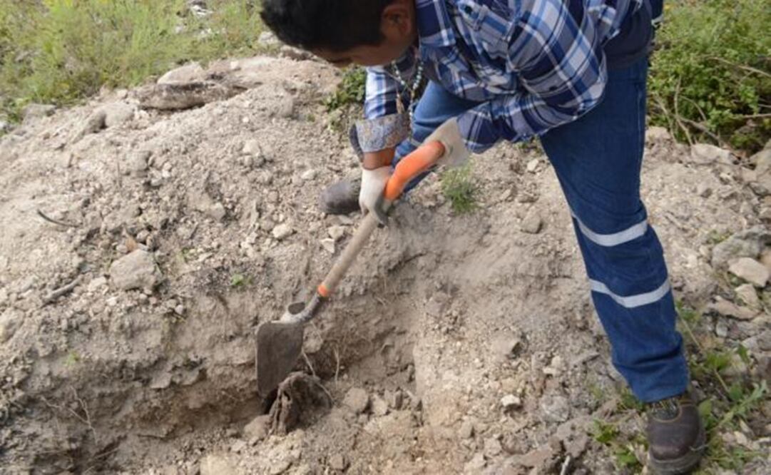 A worker digs human bones from one of the graves. (Photo: Dassaev Téllez/EL UNIVERSAL)