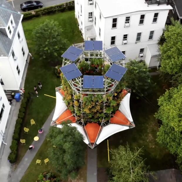 Polinature. Fuente: Instagram @ecosistemaurbano