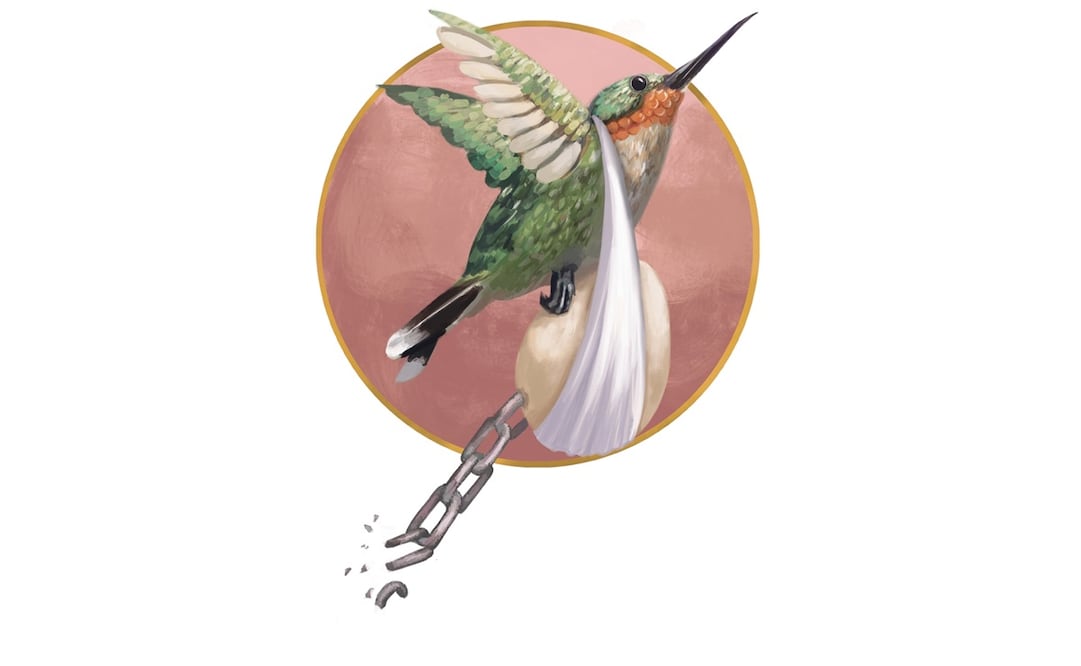 Ilustración: Liliana Pedraza