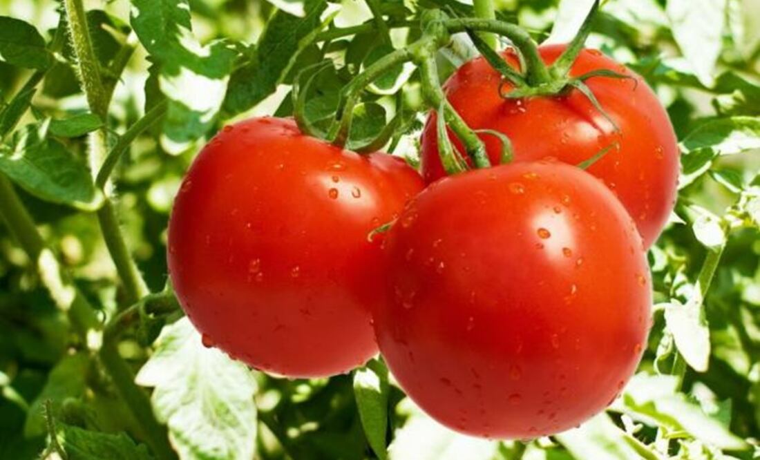 El gobierno estadounidense recordó que el acuerdo se renovó por última vez en 2013 (Foto: Archivo)