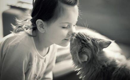 Los gatos aman relacionarse con los humanos