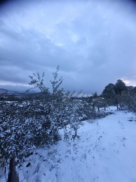 Nevada en Tamazula, Durango. Foto: @FortinoEscarcega