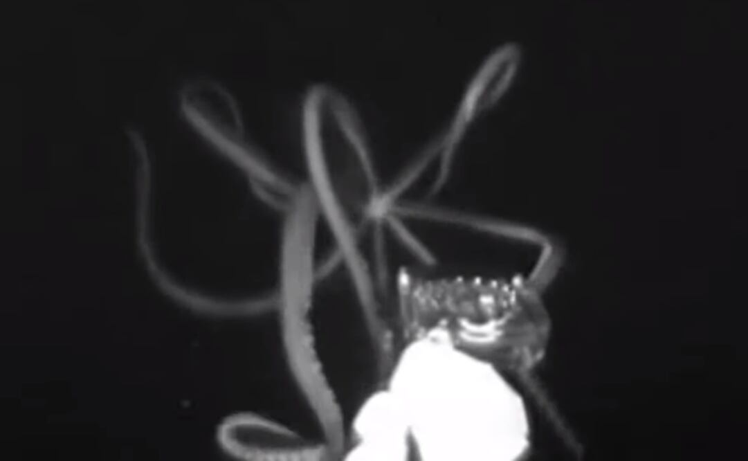 Foto: captura de video 