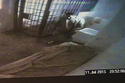 Crónica. Conversación con vecino de "El Chapo"