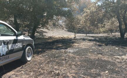 Tras 24 horas, liquidan incendio en bosque La Primavera, en Zapopan