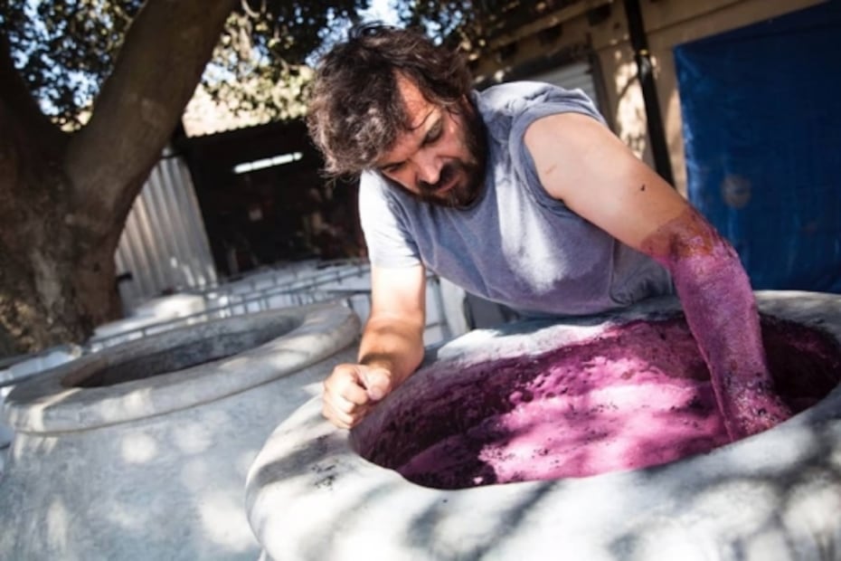 Cuatro razones por las que debes de probar el vino natural