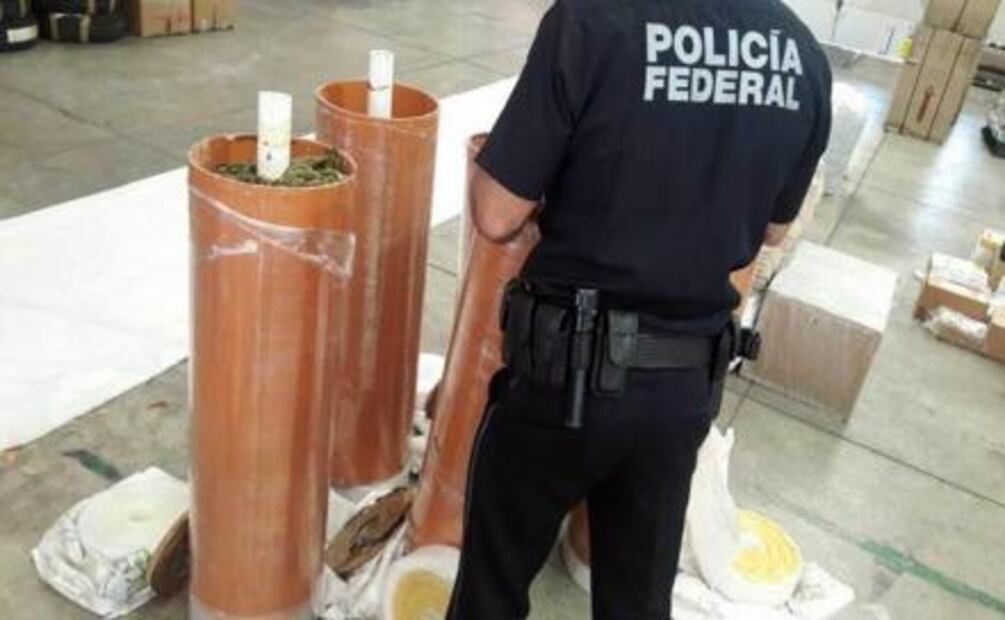 Perro policía halla marihuana oculta en tubos de PVC