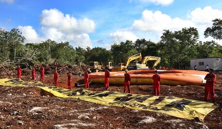 Inai ordena a Semarnat dar a conocer plan de reforestación que tendrá ruta del Tren Maya