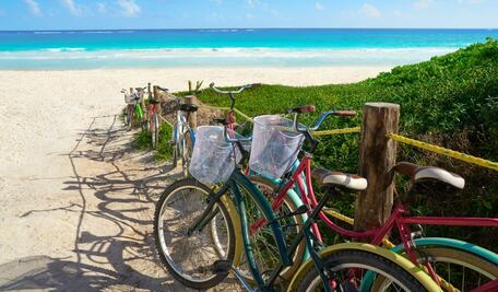 ¡Hoy es Día Mundial de la Bicicleta! Tips para viajar seguro