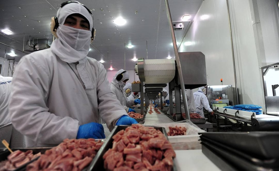 Industria agroalimentaria. Foto: Archivo/ Xinhua.