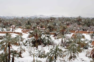 Video. Captan inusual nevada en el desierto de Marruecos