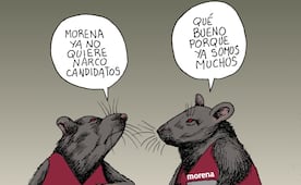 Cupo limitado