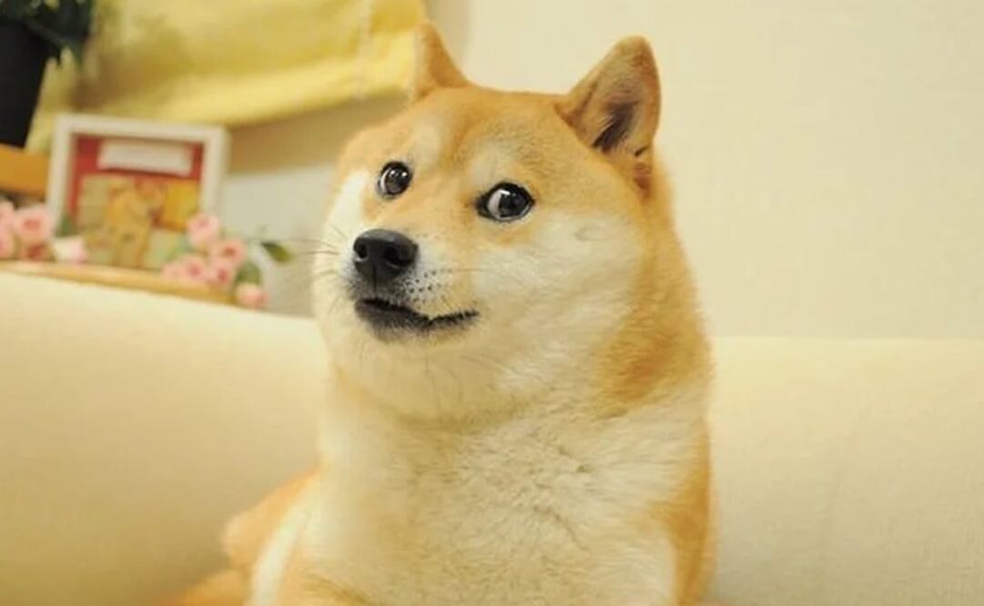 Foto: Instagram @kabosumama