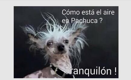 Memes sacan el lado divertido al clima