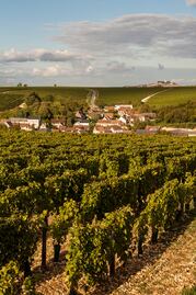Descubre los vinos del Valle de Loira en Francia