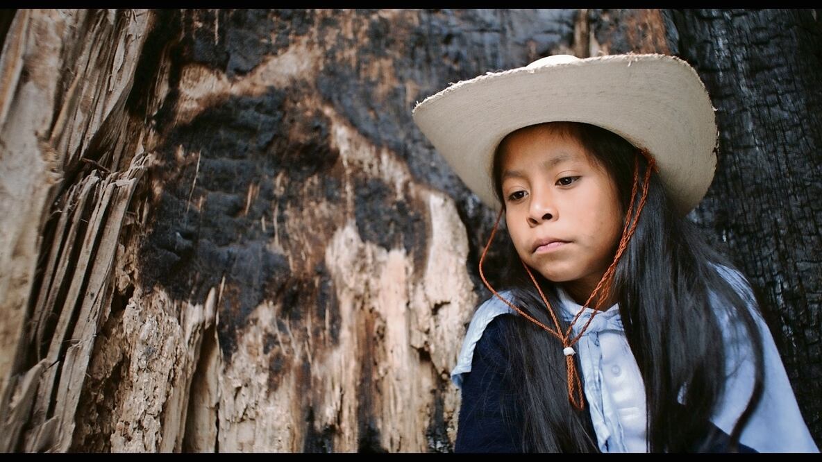 Entre las cintas a proyectar se encuentran Valentina o la serenidad, hablado en español-mixteco, dirigida por Ángeles Cruz. Foto: Imcine