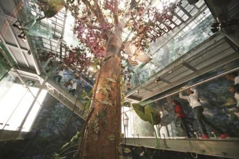 ¿Cuánto cuestan las 13 principales atracciones de la Ciudad de México?