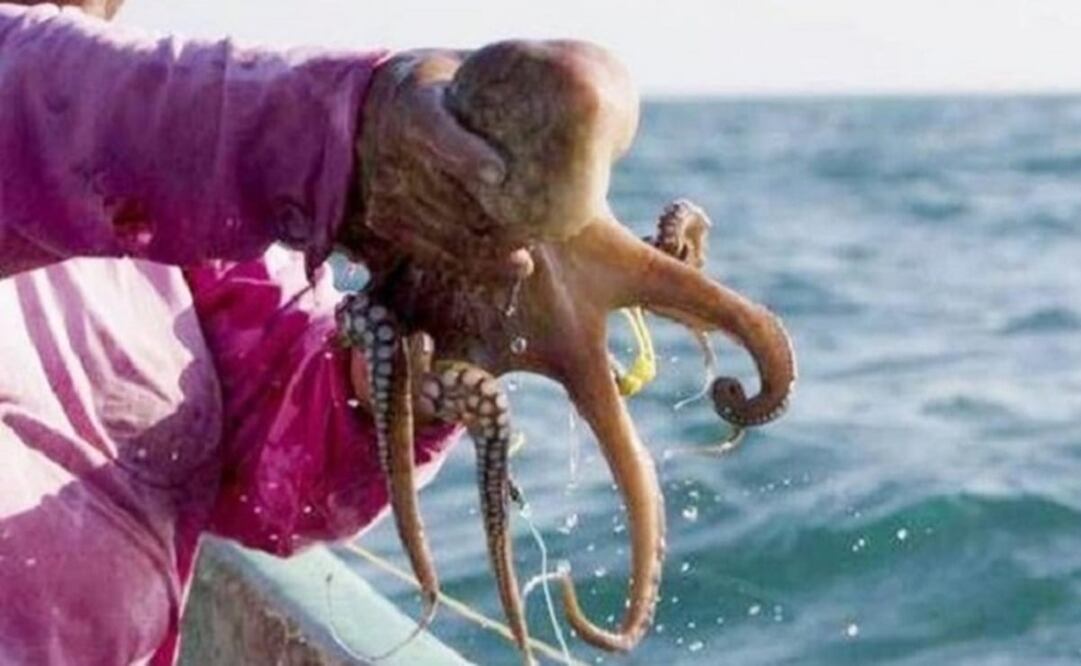 Imagen ilustrativa / Archivo