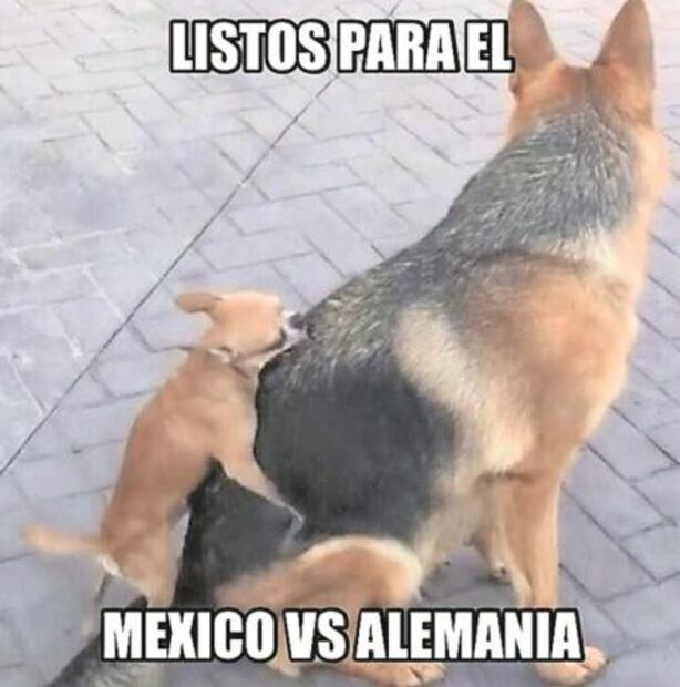 El Foco. Y cuando despertaron, Meade estaba ahí...