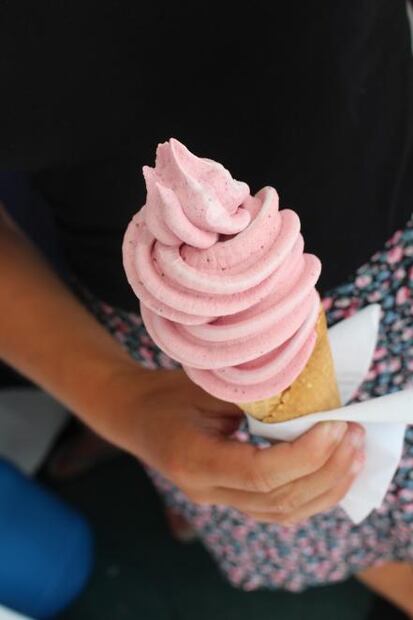 Qué es más nutritivo ¿la nieve o el helado?