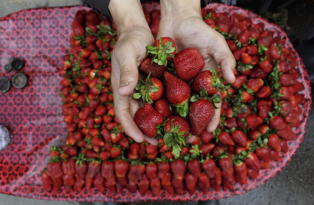 Imagen ilustrativa (Foto: Archivo / EFE)