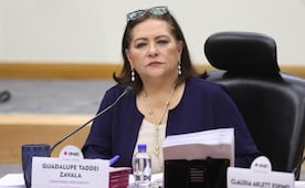 INE advierte por iniciativa de reforma de Sheinbaum; “no podemos ser juez y parte” con candidatos, asegura Guadalupe Taddei