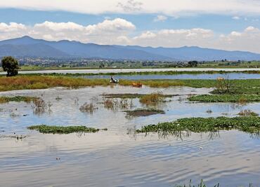 Se recuperan nueve presas en el Estado de México