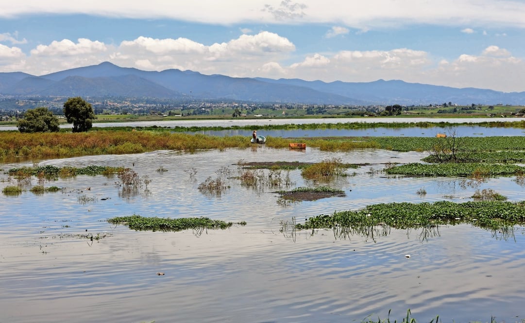 Las presas, que en su mayoría sirven para la agricultura y la pesca, han elevado sus niveles tras las fuertes lluvias que se han presentado. Foto: Jorge Alvarado / EL UNIVERSAL