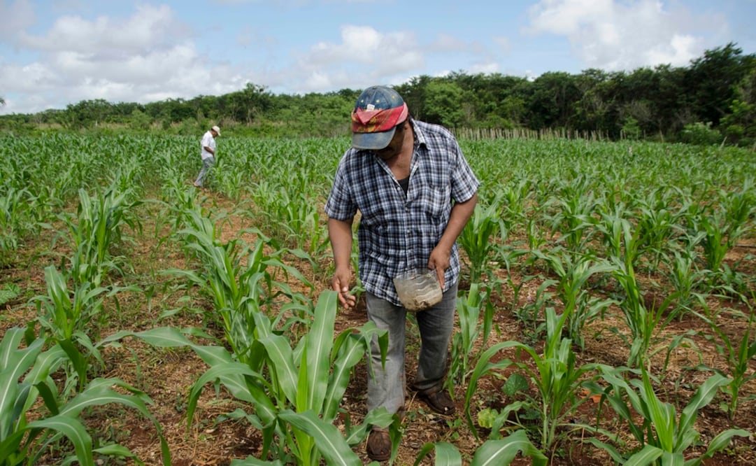 (FOTO: Archivo/EL UNIVERSAL)