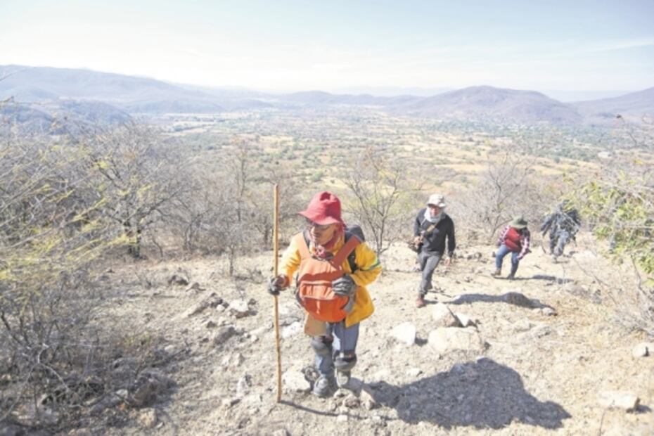 Cavan en cerros; así buscan a sus desaparecidos en Guerrero