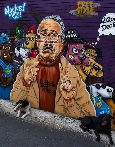Perritos posaron junto al mural inspirado en Pedro Sola. Foto: Redes Sociales