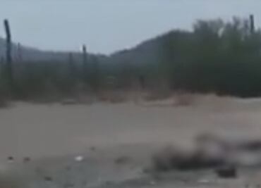 Localizan cuatro cuerpos desmembrados en carretera de Sonora