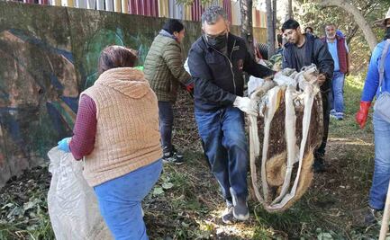 Alcaldía Magdalena Contreras realiza jornada de limpieza en Barranca Anzaldo; buscan evitar inundaciones y deslaves 