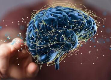 Hito revolucionario sobre el cerebro: crean mapa de las mitocondrias