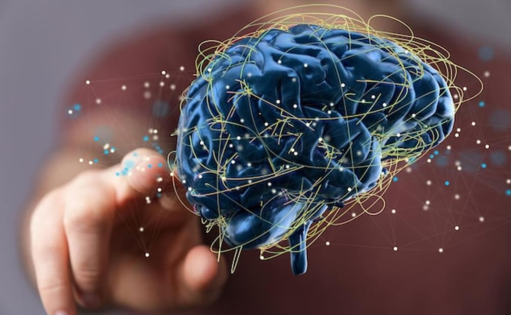 Descubren que la memoria también puede almacenarse en células fuera del cerebro. Fuente: Freepik.