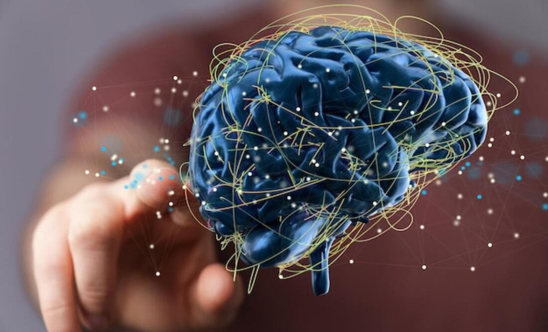 Descubren que la memoria también puede almacenarse en células fuera del cerebro. Fuente: Freepik.