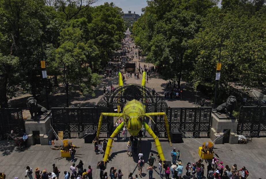 En una edición pasada, el Festival del Bosque de Chapultepec se dedicó a los insectos. Foto: Facebook