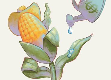 El campo recibe 25% menos inversión foránea