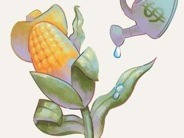 El campo recibe 25% menos inversión foránea