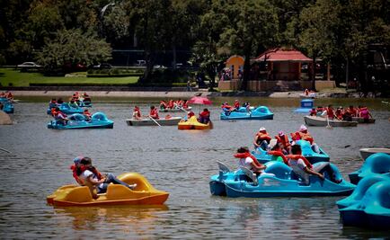 Anuncia MAM nueva planta de agua para Chapultepec