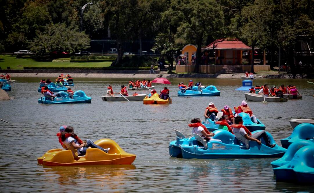 Anuncia MAM nueva planta de agua para Chapultepec