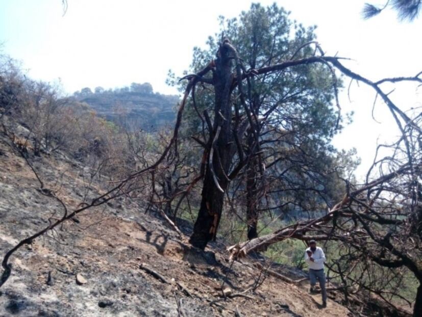 Profepa presenta denuncia por incendio provocado en el Parque Nacional “El Tepozteco”