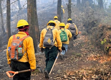 Incendio en Tepoztlán controlado al 50 por ciento, señalan autoridades