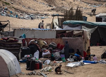 Sin champú, los piojos se propagan entre los desplazados de Gaza