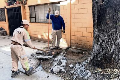 “Manita de gato” a las unidades habitacionales en Benito Juárez