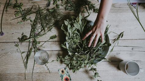 La hierba que contribuye a la salud renal y a la fijación de calcio