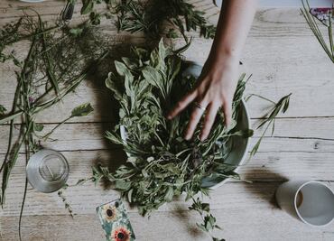 3 hierbas naturales que purifican nuestros pulmones