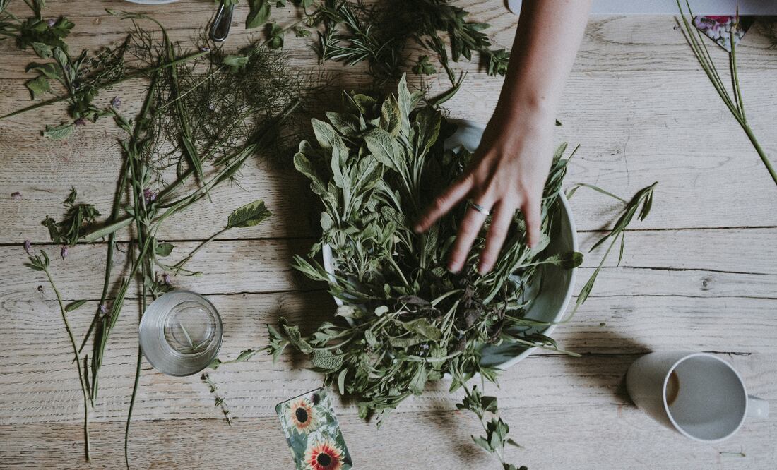 Hierbas. Fuente: Unsplash