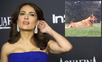Salma Hayek's dog was killed