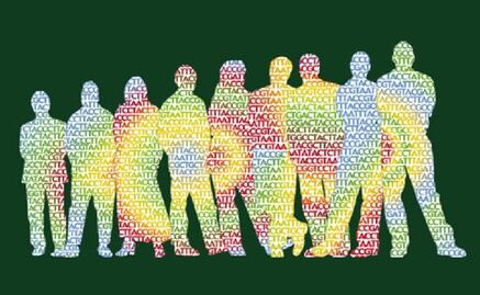 Recorren la historia a través del genoma humano